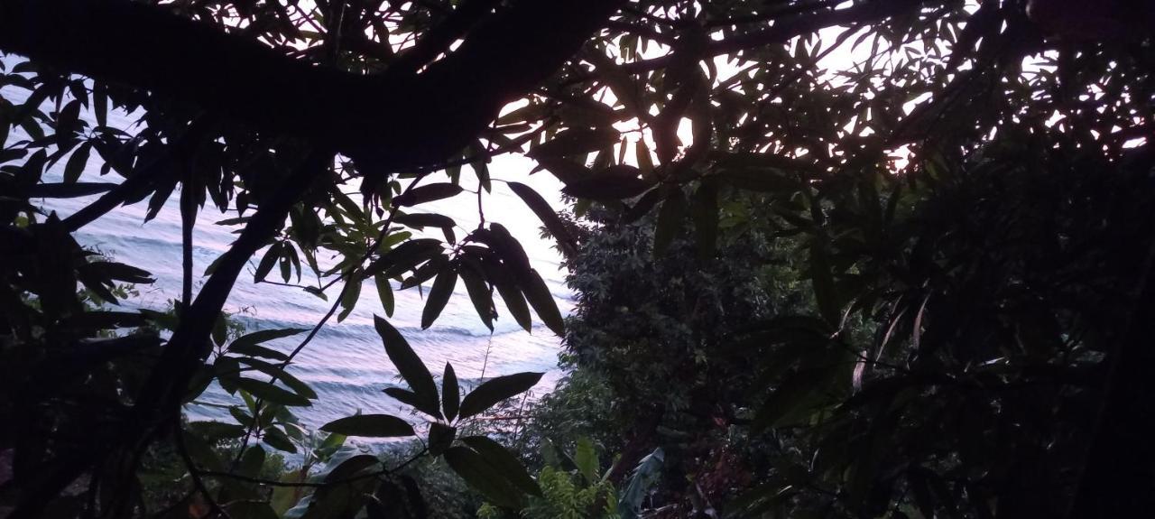 Treehouse Above The Beach Port Antonio Exterior foto