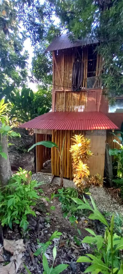 Treehouse Above The Beach Port Antonio Exterior foto