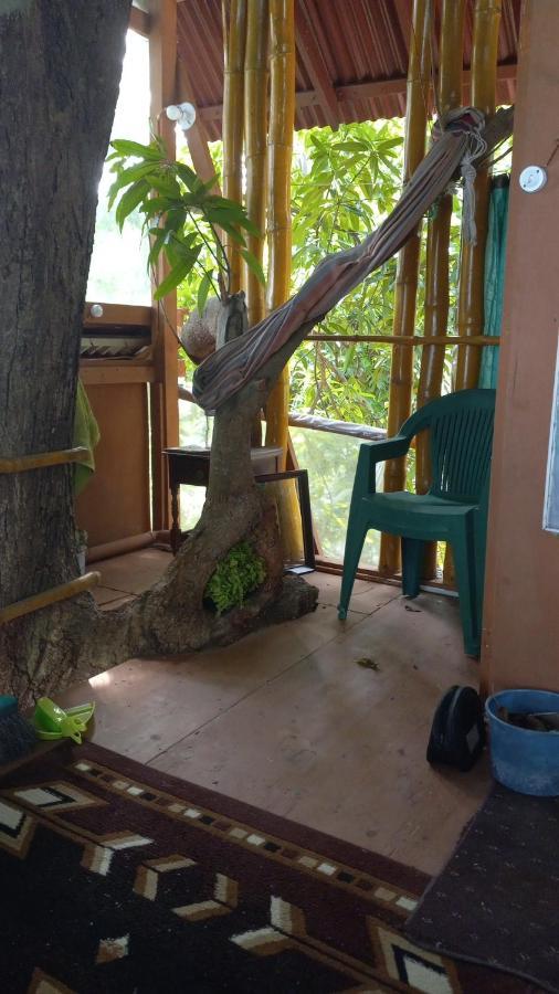 Treehouse Above The Beach Port Antonio Exterior foto