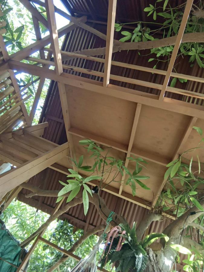 Treehouse Above The Beach Port Antonio Exterior foto