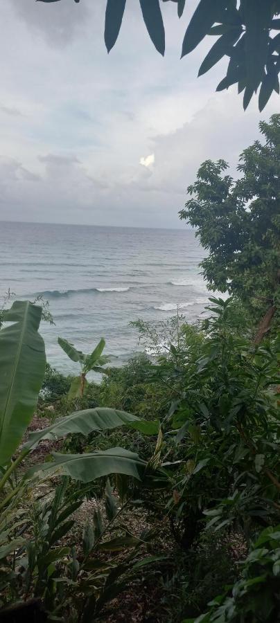 Treehouse Above The Beach Port Antonio Exterior foto