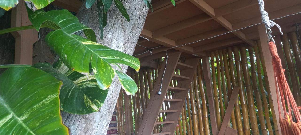 Treehouse Above The Beach Port Antonio Exterior foto