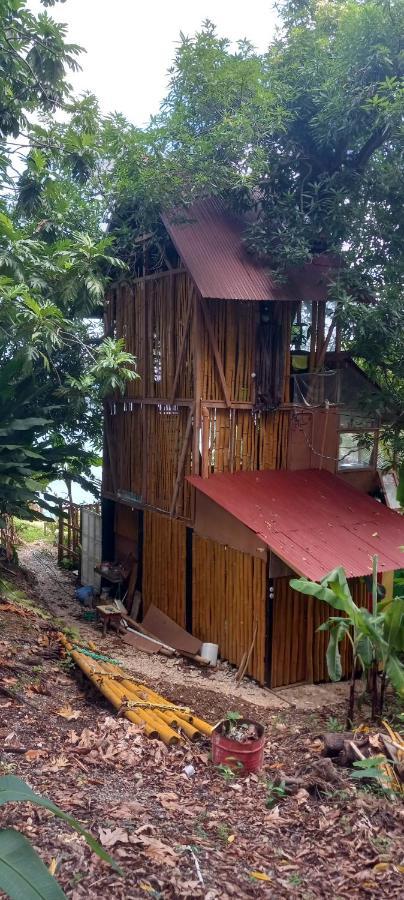 Treehouse Above The Beach Port Antonio Exterior foto