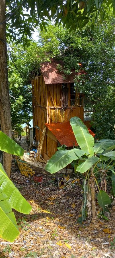 Treehouse Above The Beach Port Antonio Exterior foto