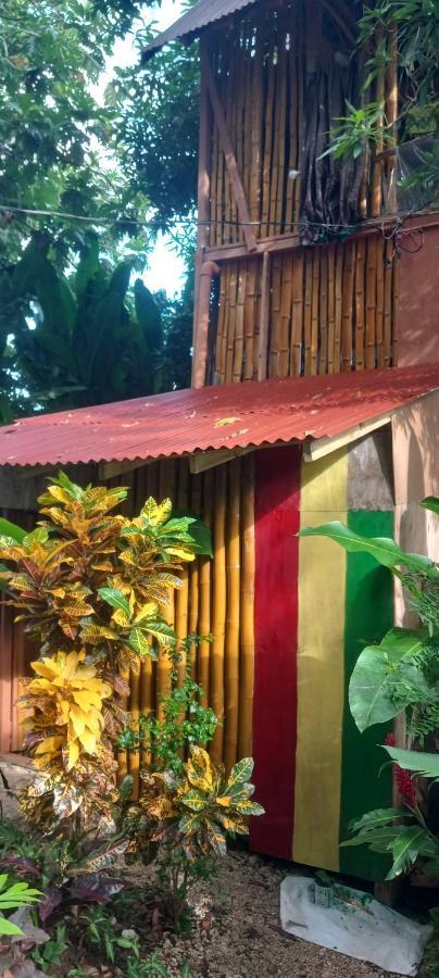 Treehouse Above The Beach Port Antonio Exterior foto