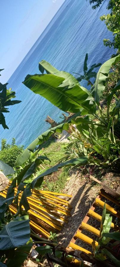 Treehouse Above The Beach Port Antonio Exterior foto