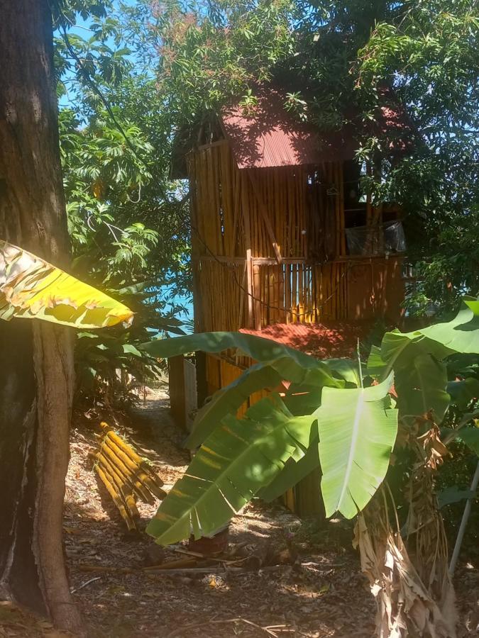 Treehouse Above The Beach Port Antonio Exterior foto