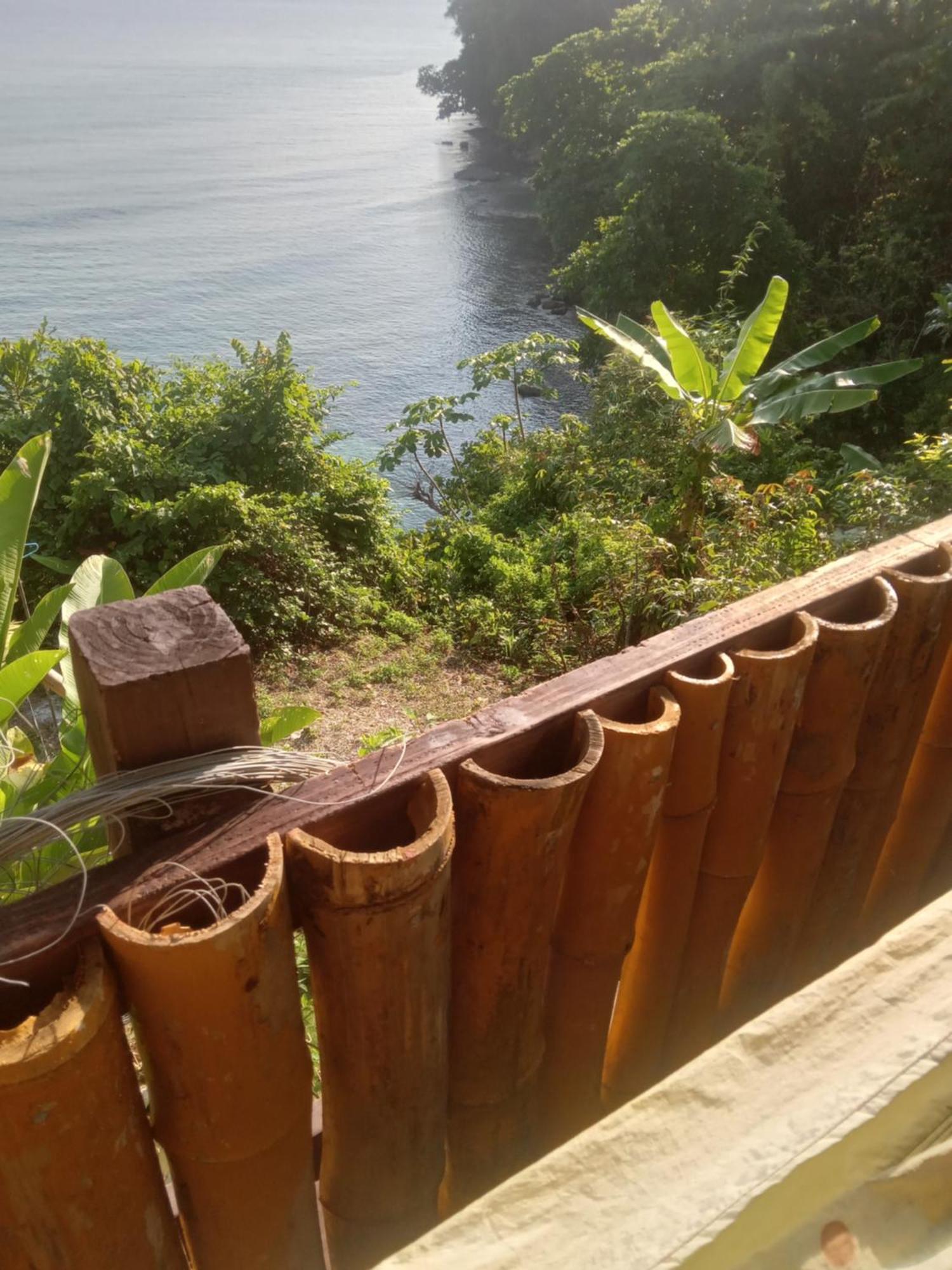 Treehouse Above The Beach Port Antonio Exterior foto