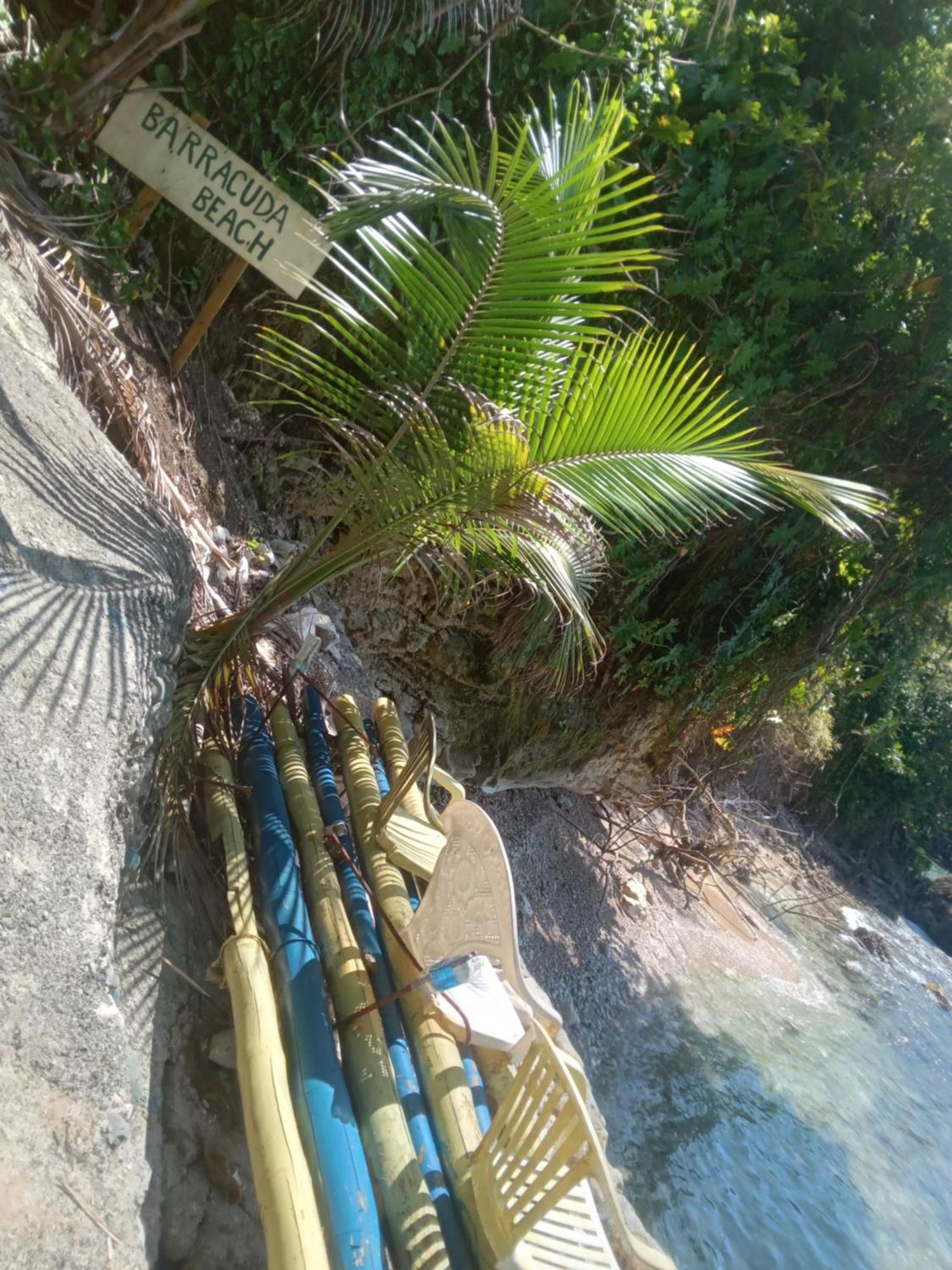 Treehouse Above The Beach Port Antonio Exterior foto